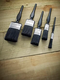 No Nonsense Synthetic Paintbrush Set 5 Piece Set -Paint Tools 63231 A2