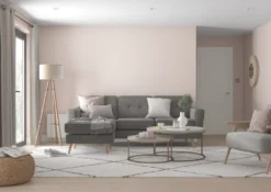 Dulux EasyCare Matt Blush Pink Emulsion Paint 2.5Ltr 10 Dulux EasyCare Matt Blush Pink Emulsion Paint 2.5Ltr -Paint Tools 8582T A2